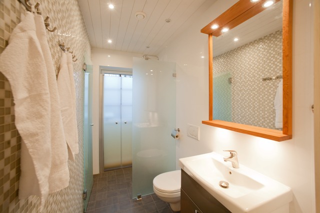 Toaltett och dusch med utgång till spabad